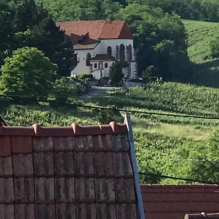 Appartement Des Forgerons Dambach